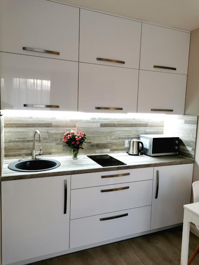 Indream New Cosy Modern Studio Клайпеда Экстерьер фото